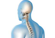 Complex Spine Surgery