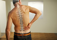 Spinal Injuries at Work